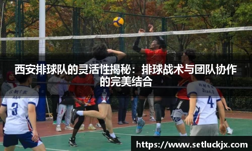 西安排球队的灵活性揭秘：排球战术与团队协作的完美结合