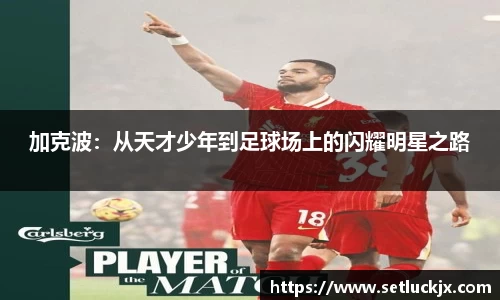 伟德bv国际